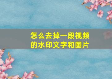 怎么去掉一段视频的水印文字和图片