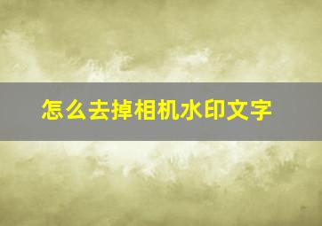 怎么去掉相机水印文字