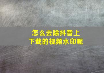 怎么去除抖音上下载的视频水印呢