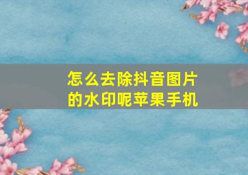 怎么去除抖音图片的水印呢苹果手机