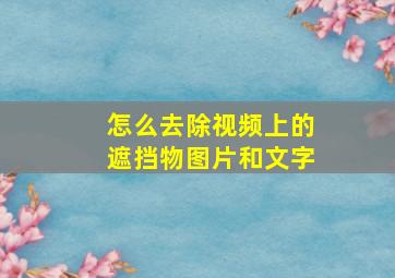 怎么去除视频上的遮挡物图片和文字