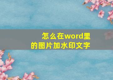 怎么在word里的图片加水印文字