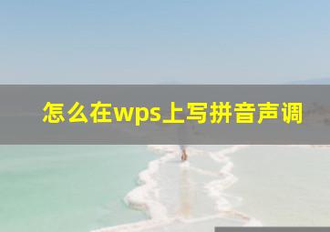 怎么在wps上写拼音声调