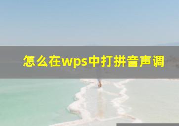 怎么在wps中打拼音声调