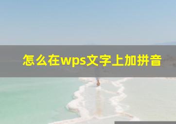 怎么在wps文字上加拼音