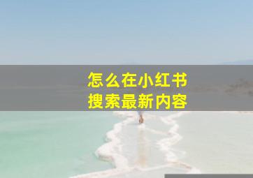 怎么在小红书搜索最新内容