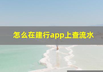 怎么在建行app上查流水