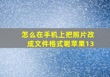 怎么在手机上把照片改成文件格式呢苹果13