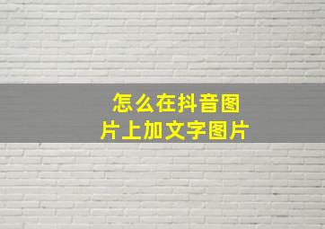 怎么在抖音图片上加文字图片