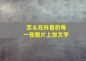 怎么在抖音的每一张图片上加文字