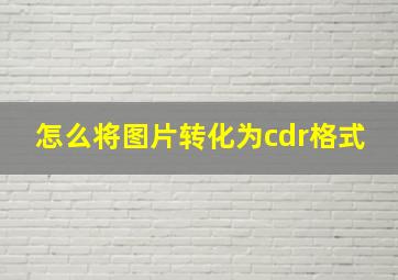 怎么将图片转化为cdr格式