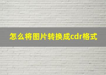 怎么将图片转换成cdr格式