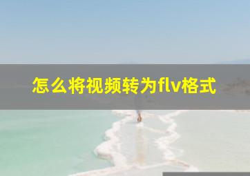 怎么将视频转为flv格式