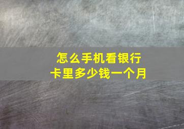 怎么手机看银行卡里多少钱一个月