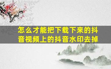 怎么才能把下载下来的抖音视频上的抖音水印去掉