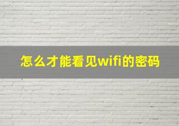 怎么才能看见wifi的密码