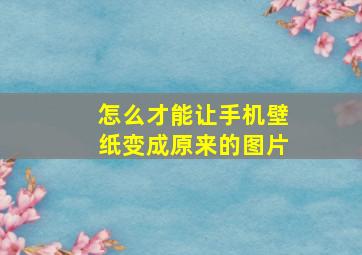 怎么才能让手机壁纸变成原来的图片