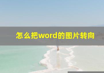 怎么把word的图片转向