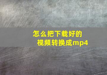 怎么把下载好的视频转换成mp4