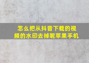 怎么把从抖音下载的视频的水印去掉呢苹果手机