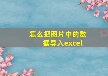 怎么把图片中的数据导入excel