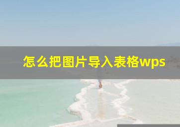 怎么把图片导入表格wps