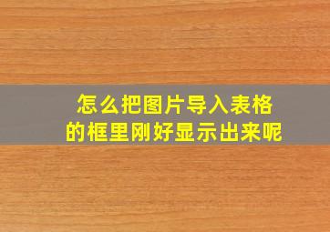 怎么把图片导入表格的框里刚好显示出来呢