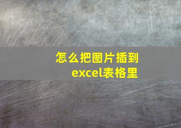 怎么把图片插到excel表格里