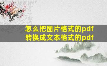 怎么把图片格式的pdf转换成文本格式的pdf