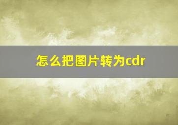 怎么把图片转为cdr