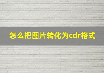 怎么把图片转化为cdr格式