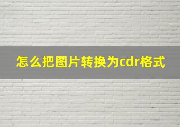 怎么把图片转换为cdr格式