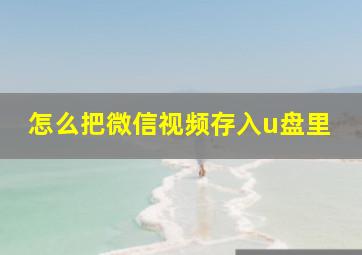 怎么把微信视频存入u盘里