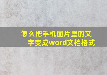 怎么把手机图片里的文字变成word文档格式