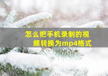 怎么把手机录制的视频转换为mp4格式