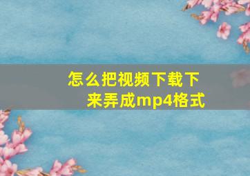 怎么把视频下载下来弄成mp4格式