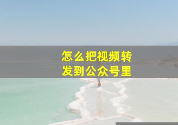 怎么把视频转发到公众号里