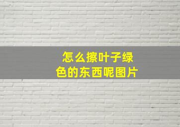 怎么擦叶子绿色的东西呢图片