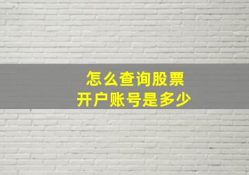 怎么查询股票开户账号是多少