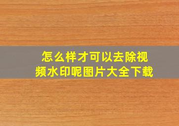 怎么样才可以去除视频水印呢图片大全下载