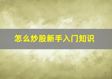 怎么炒股新手入门知识