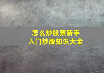 怎么炒股票新手入门炒股知识大全