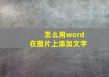 怎么用word在图片上添加文字