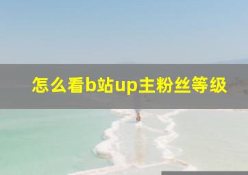 怎么看b站up主粉丝等级