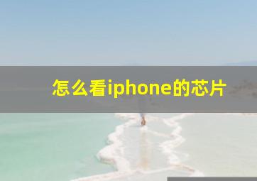 怎么看iphone的芯片