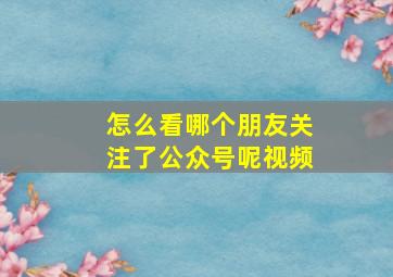 怎么看哪个朋友关注了公众号呢视频