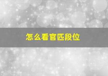 怎么看官匹段位