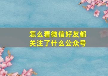 怎么看微信好友都关注了什么公众号