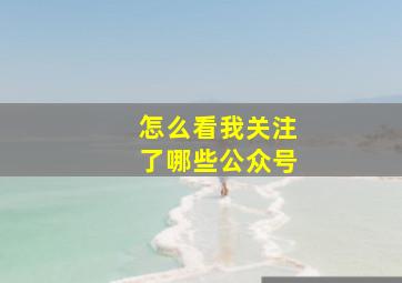 怎么看我关注了哪些公众号