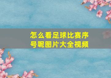 怎么看足球比赛序号呢图片大全视频